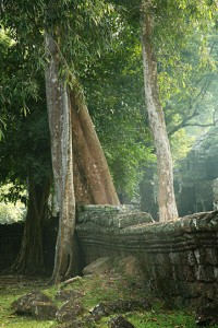 cambodia0337